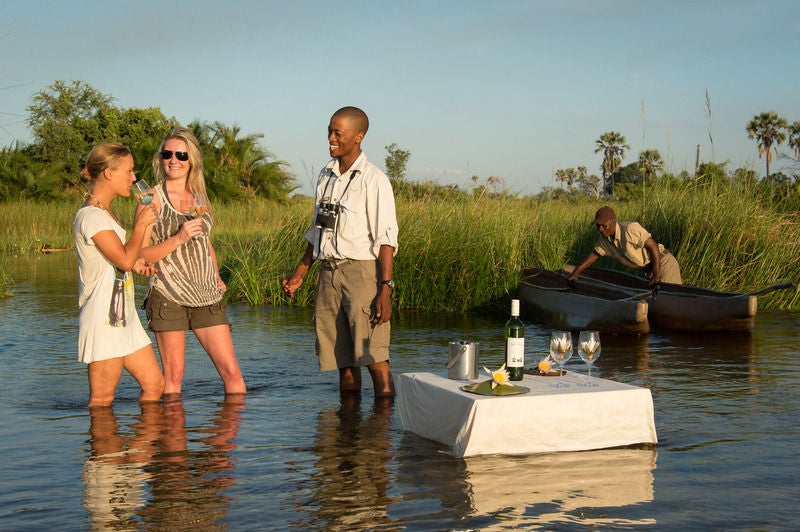 Luxurious treehouse-style lodge raised on stilts above Okavango Delta wetlands, with wooden walkways and natural materials blending into scenery