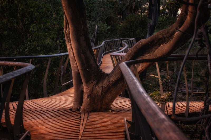 Elevated safari lodge with thatched-roof tents overlooking lush Okavango Delta, connected by wooden walkways at golden hour