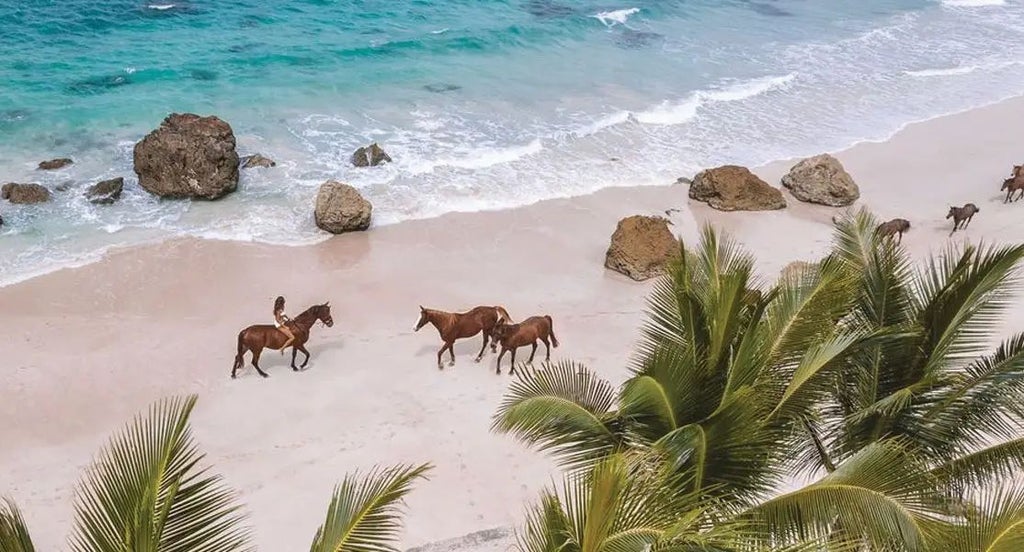 Panoramic ocean view from luxurious NIHI Sumba Lantoro Estate, featuring an infinity pool, thatched roof, and tropical Indonesian landscape at sunset