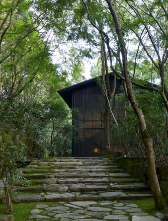 Modern Japanese luxury hotel nestled in forested hillside, featuring minimalist wooden architecture and tranquil garden views