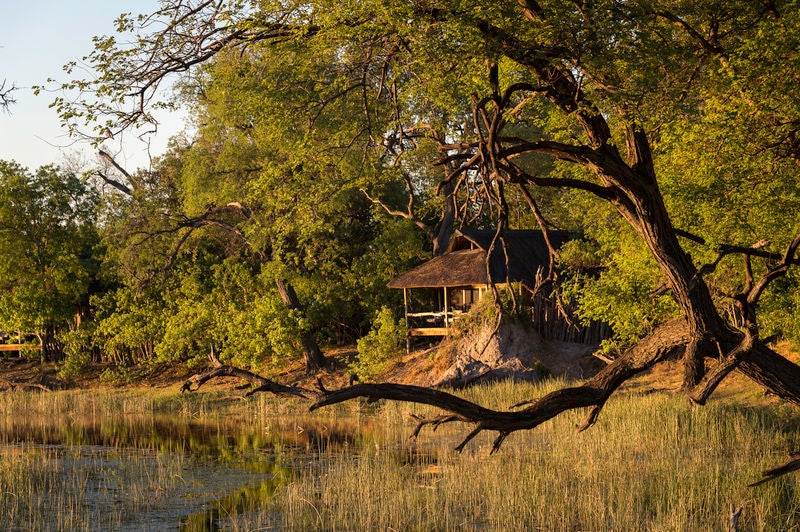 Elevated safari lodge overlooking Botswana savanna, with thatched roof, expansive wooden deck, and lantern-lit dining area at sunset