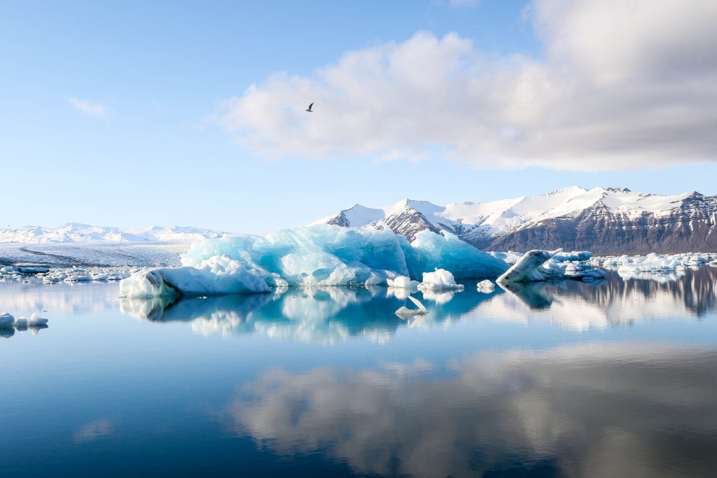 Pristine blue icebergs float serenely in Jökulsárlón Glacier Lagoon, with dramatic Icelandic mountains and glacial landscape creating a breathtaking panoramic view