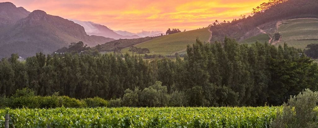 Elegant stone-walled hotel nestled in South African wine country, featuring manicured gardens, mountain backdrop and private verandas