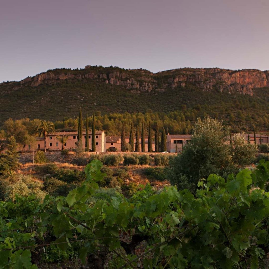 Luxurious stone-walled winery hotel nestled in scenic Spanish countryside, with elegant architecture, vineyards, and golden sunlight casting warm tones