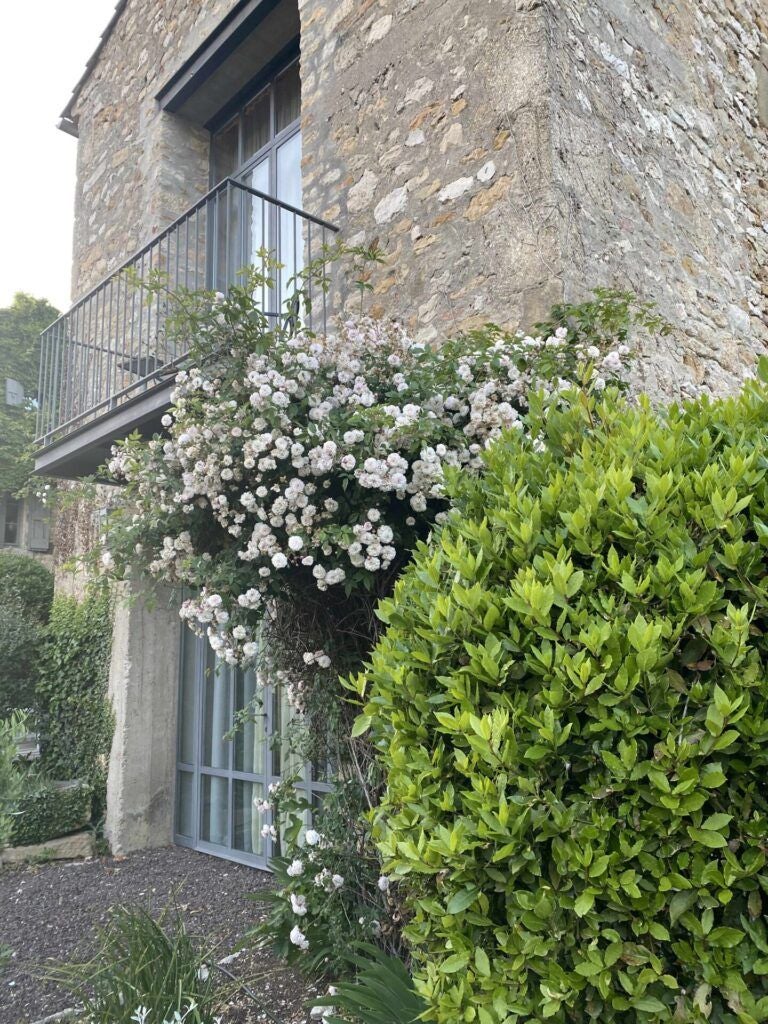 Elegant stone farmhouse hotel nestled in Provence lavender fields, with rustic stone walls, terracotta roof, and lush Mediterranean garden at golden hour