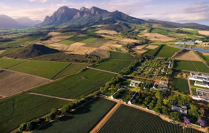 The grounds and farm of Babylonstoren
