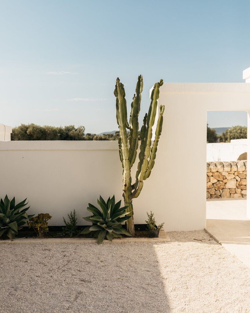 Elegant stone Apulian farmhouse with whitewashed walls, surrounded by olive groves, sun-drenched terrace with rustic Mediterranean charm near Adriatic coast