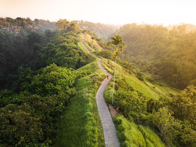 Campuhan Ridge Walk
