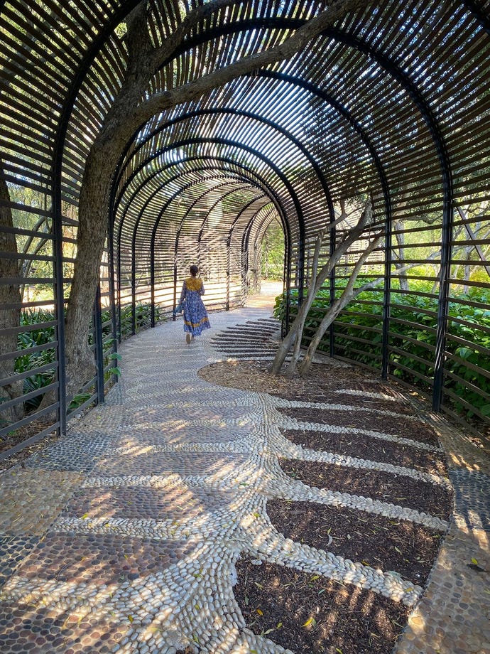 structure of balau slats creating a translucent tunnel called “Puff Adder” at Babylonstoren farm