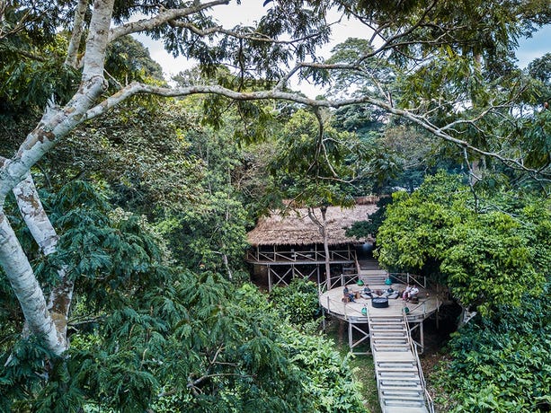 See stunning views of the surrounding jungle from the viewing deck