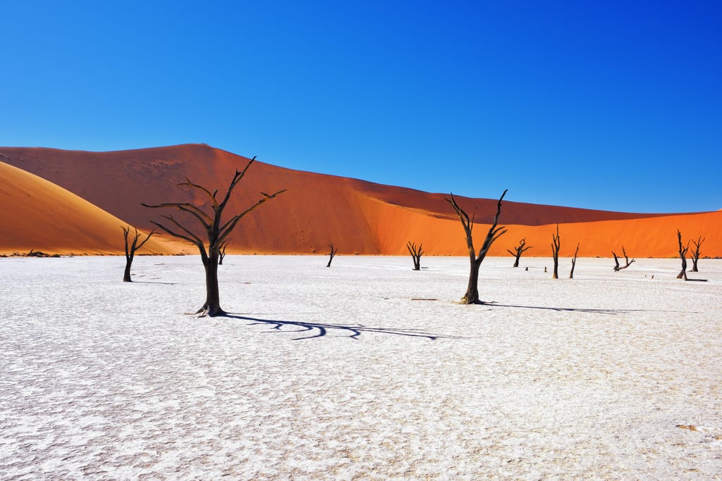 Journey Through the Otherworldly Scenery of Namibia