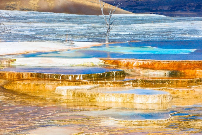 Mammoth Springs
