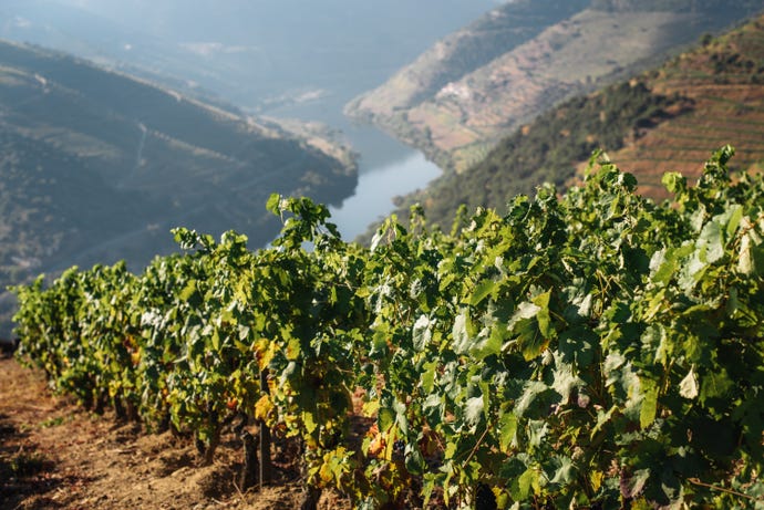 Welcome to Douro!

