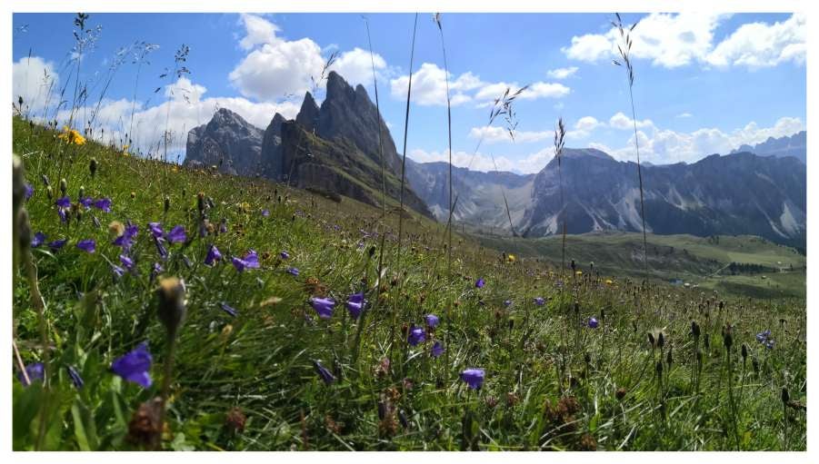 Traditional Alpine mountain lodge with modern glass walls nestled in green meadow, dramatic Dolomites peaks rising behind