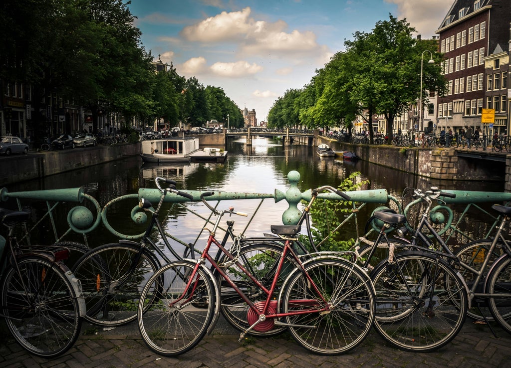 Luxurious guided bicycle tour through picturesque Dutch countryside, cyclists in elegant attire riding past vibrant tulip fields and traditional windmills