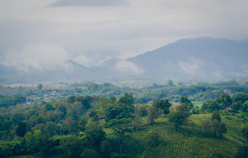 Verdant jungle trail with indigenous hilltribe members in traditional attire, leading travelers through lush northern Thailand landscape near scenic mountain village