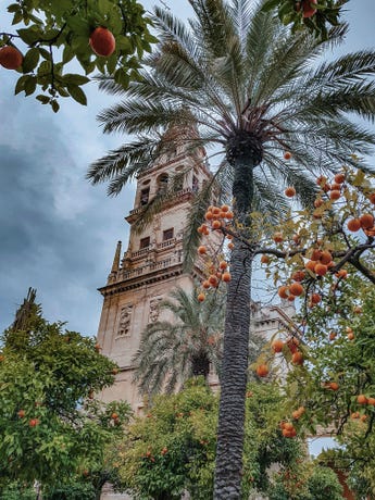 The courtyard is adorned with fragrant orange trees.
