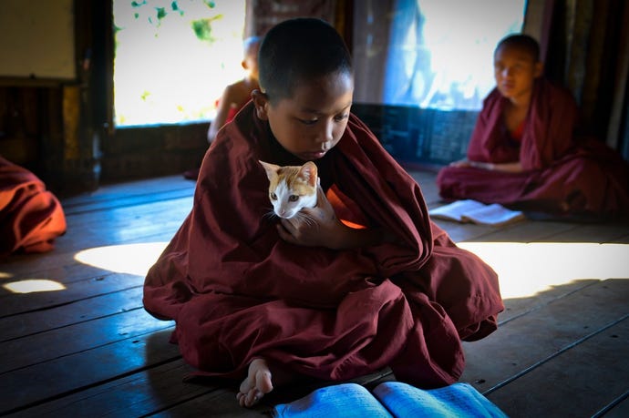 Monk and friend at the pagoda