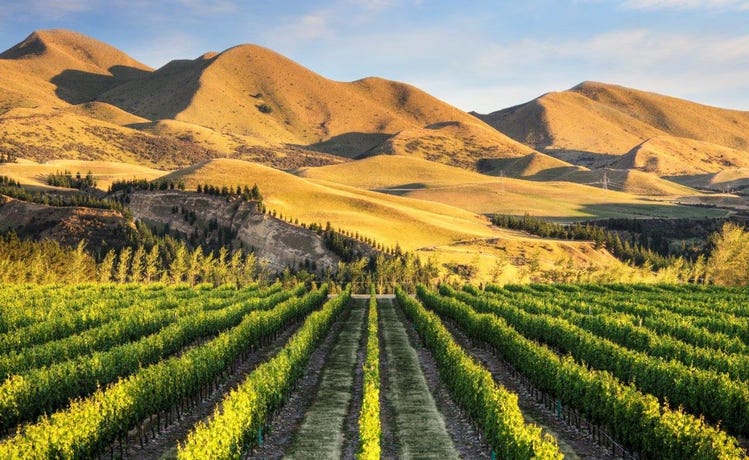 Wineries of New Zealand
