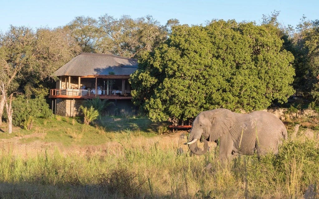 Luxurious safari lodge overlooking tranquil river, featuring thatched roof terraces, private plunge pools and natural stone walls