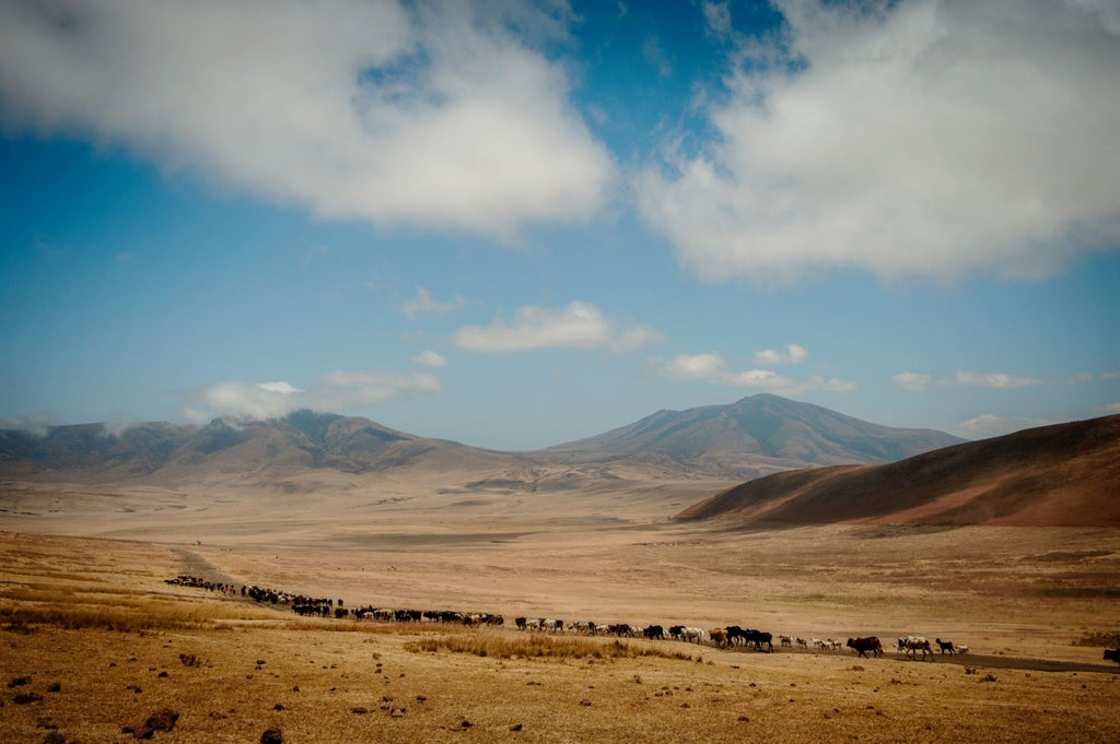 Luxury safari tents perched on Ngorongoro Crater rim with canvas walls, wooden deck and panoramic views of African savanna at sunset