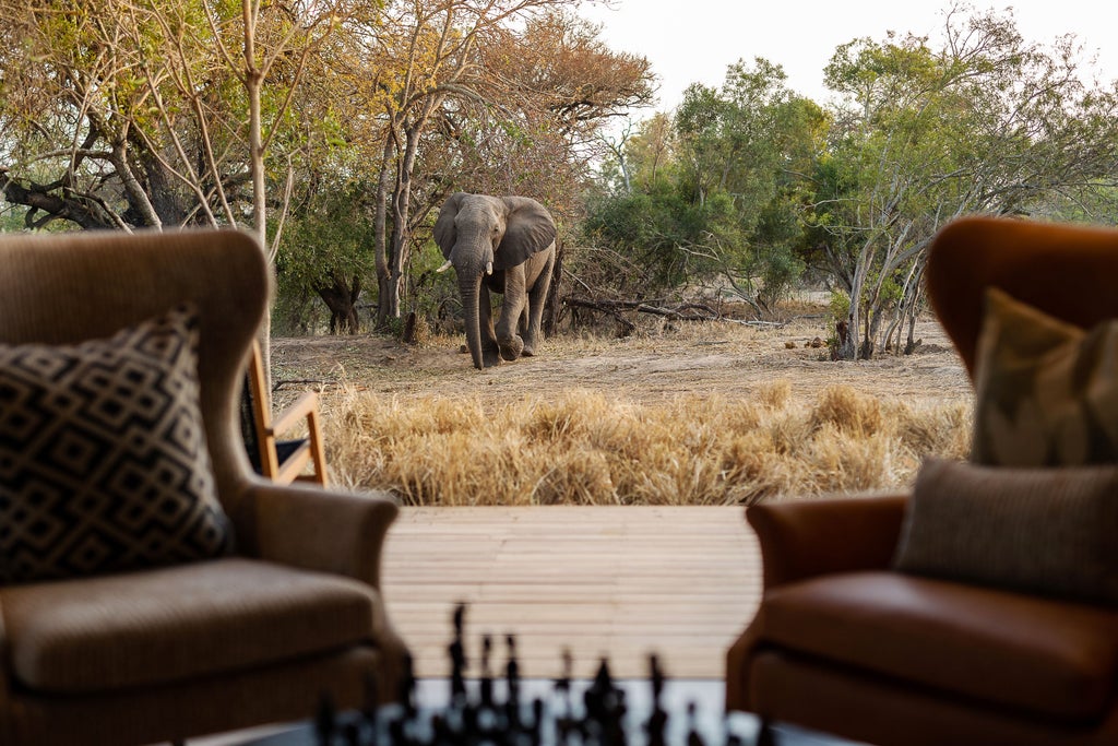 Luxury safari lodge with thatched roof and wooden deck overlooking a tranquil waterhole, surrounded by African bush vegetation