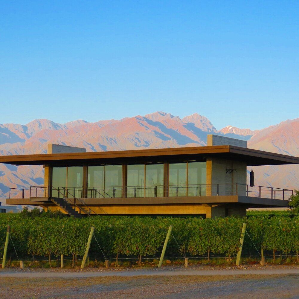 Luxurious resort villa nestled against the backdrop of snow-capped Andes mountains, surrounded by lush vineyards at sunset