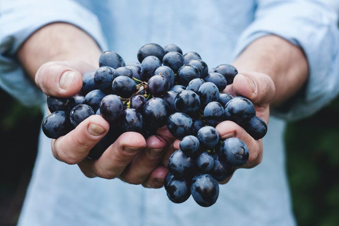 Discover the vineyards that grow over lava stone, 700 meters above sea level
