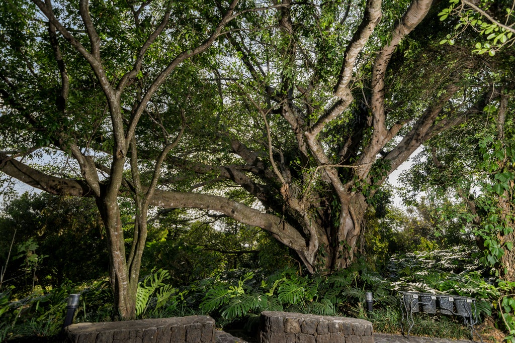 Elegant white-walled Costa Rican boutique hotel nestled in lush coffee plantation with curved architecture and tropical garden views