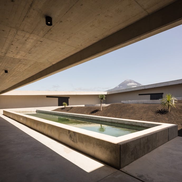 The modern design and stylish architecture inside the winery