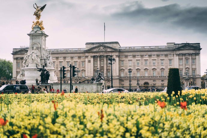 The Buckingham Palace
