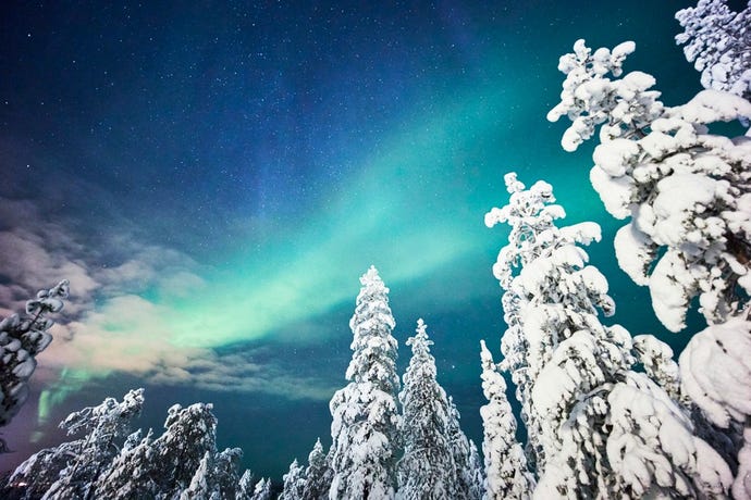 Snow topped trees frame the natural spectacle