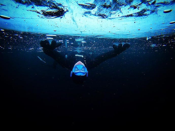 Dive under ice, between tectonic plates or through arctic kelp forests