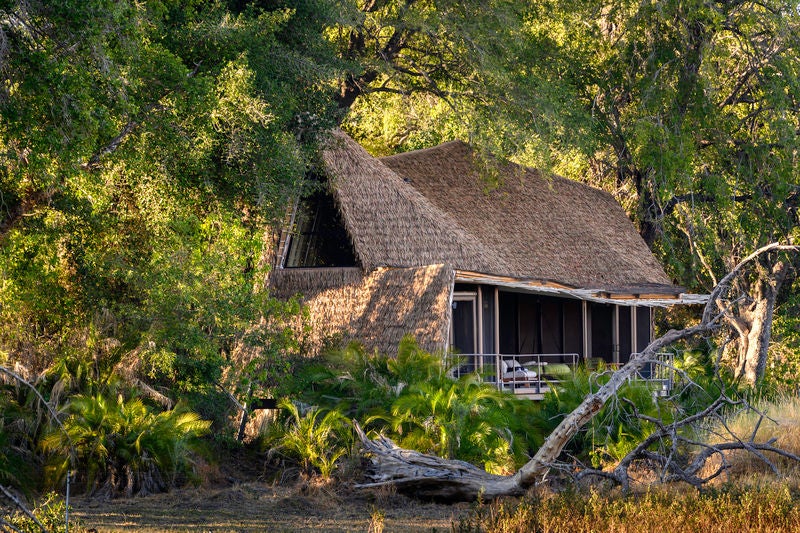 Elevated wooden safari lodge with wraparound deck nestled among palm trees, overlooking pristine Okavango Delta marshlands at sunset