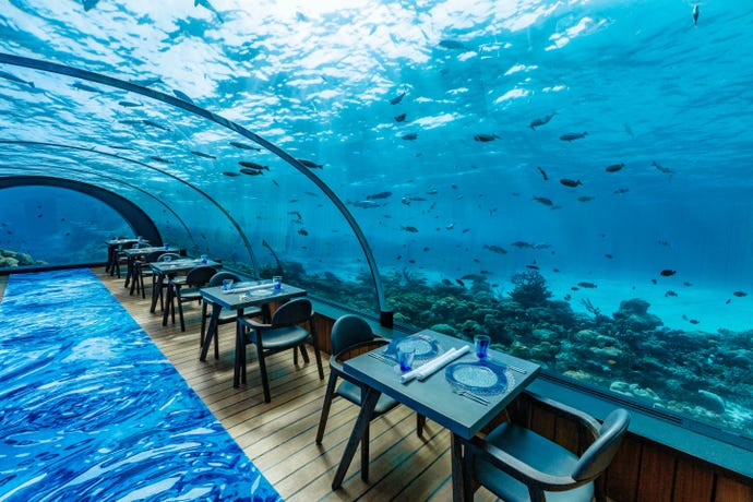 Dining underwater is an unforgettable experience