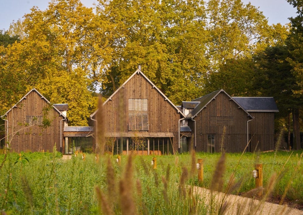 Elegant French countryside hotel with stone facade, surrounded by manicured gardens, soft natural lighting, and refined architectural details of a luxurious wine region estate