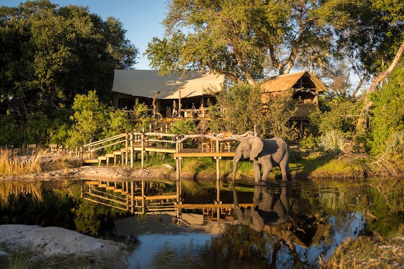 Elevated luxury safari tent with private wooden deck overlooking vast Okavango Delta wetlands, surrounded by lush palm trees at dusk