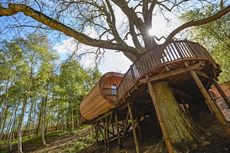 Elevated wooden treehouse suite with panoramic windows overlooking lush countryside, minimalist design blending contemporary luxury with natural woodland surroundings.