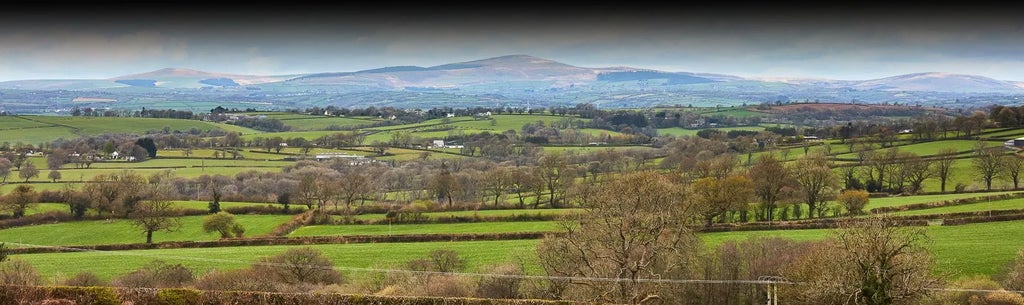 Luxurious king-size bed with soft white linens, elegant wooden headboard, soft lighting, and tranquil green views of countryside near Grove of Narberth