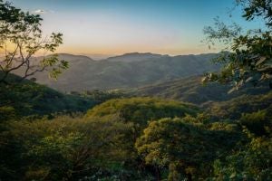 Luxury eco-lodge nestled in lush Costa Rican cloud forest, featuring panoramic windows, rustic wood interiors, and verdant tropical landscape beyond