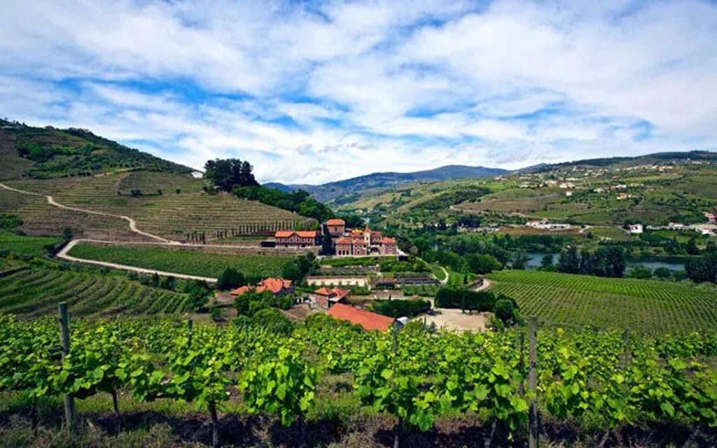 Luxurious hillside resort overlooking Portugal's Douro Valley vineyards, featuring modern architecture and an infinity pool at sunset