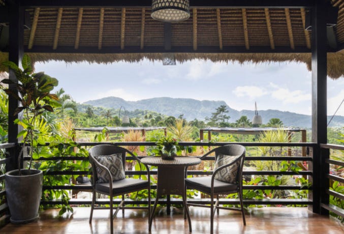 Rice Field Views
