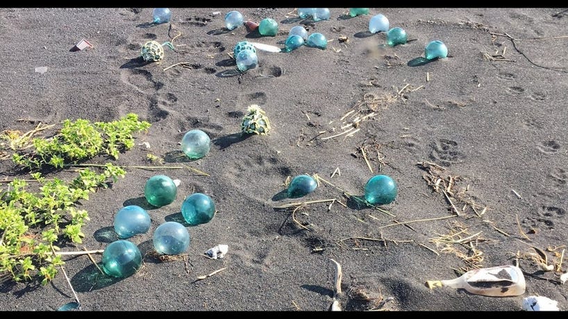 Beach Combing
