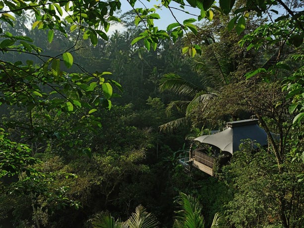 A River Tent at Capella Ubud
