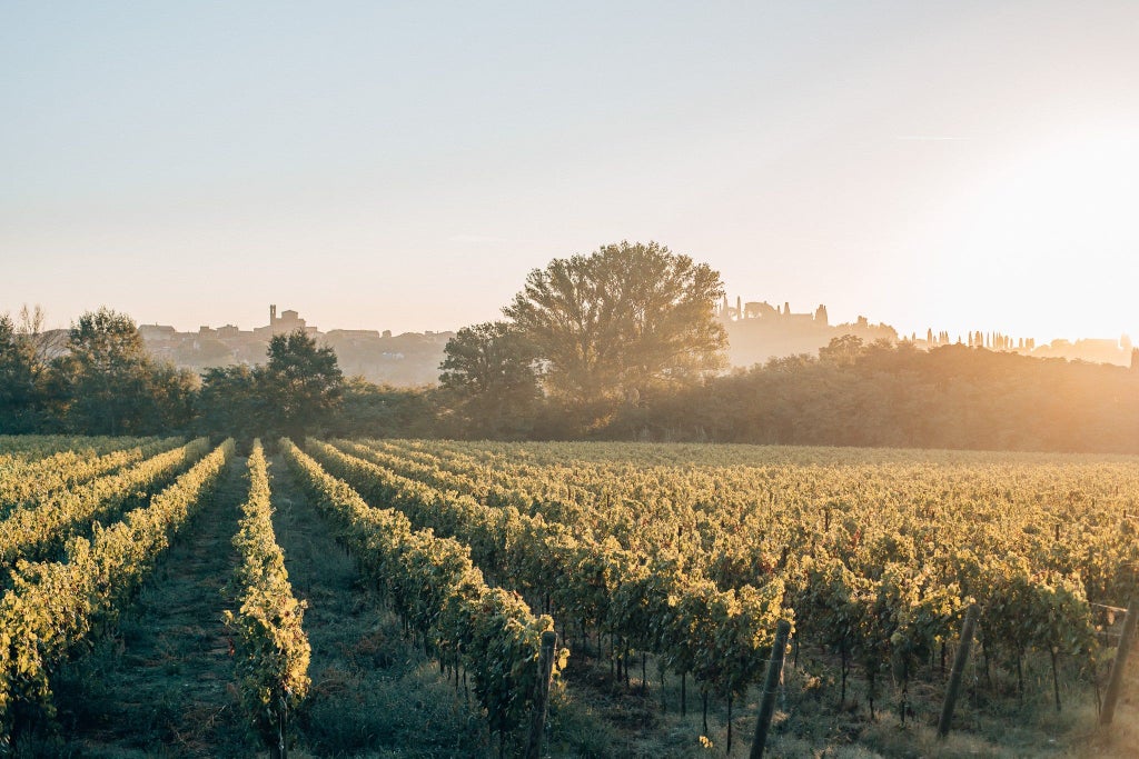 Contemporary Tuscan luxury hotel with stone archways and terracotta facade nestled among cypress trees at sunset in Italian countryside