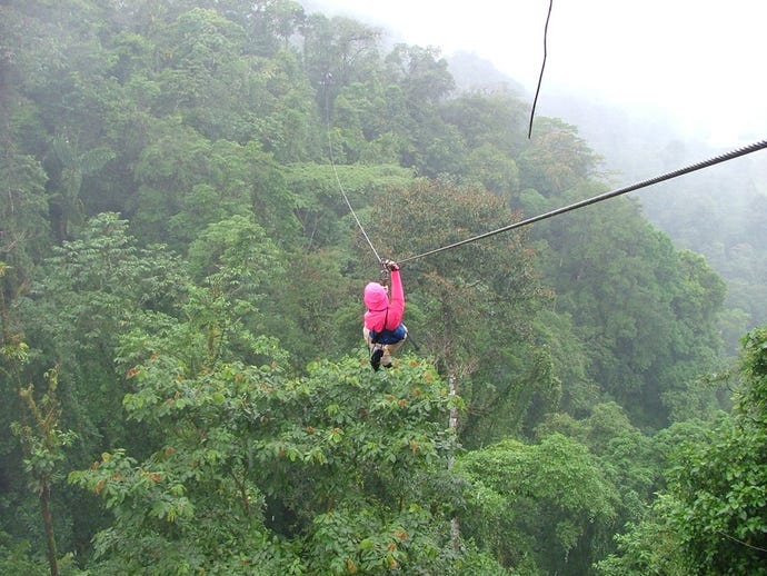 Zip lining through the forest
