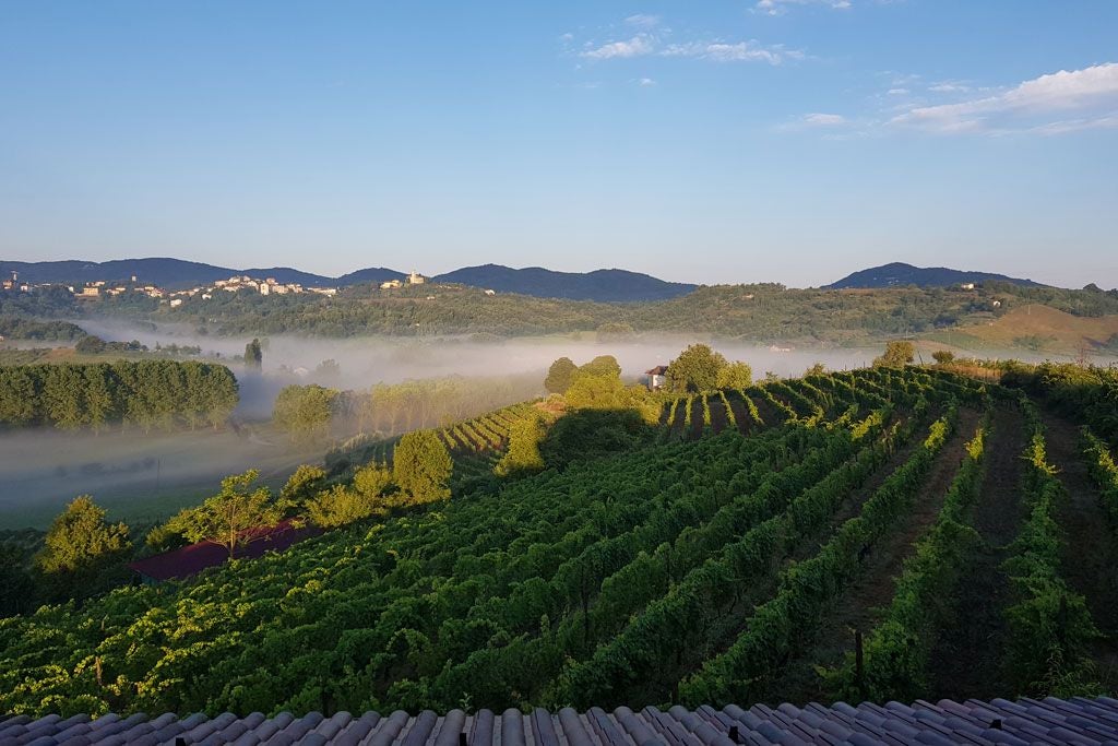 Sunlit luxury Italian villa with stone facade, nestled in rolling Piedmont hills, featuring elegant terrace overlooking verdant landscape at golden hour