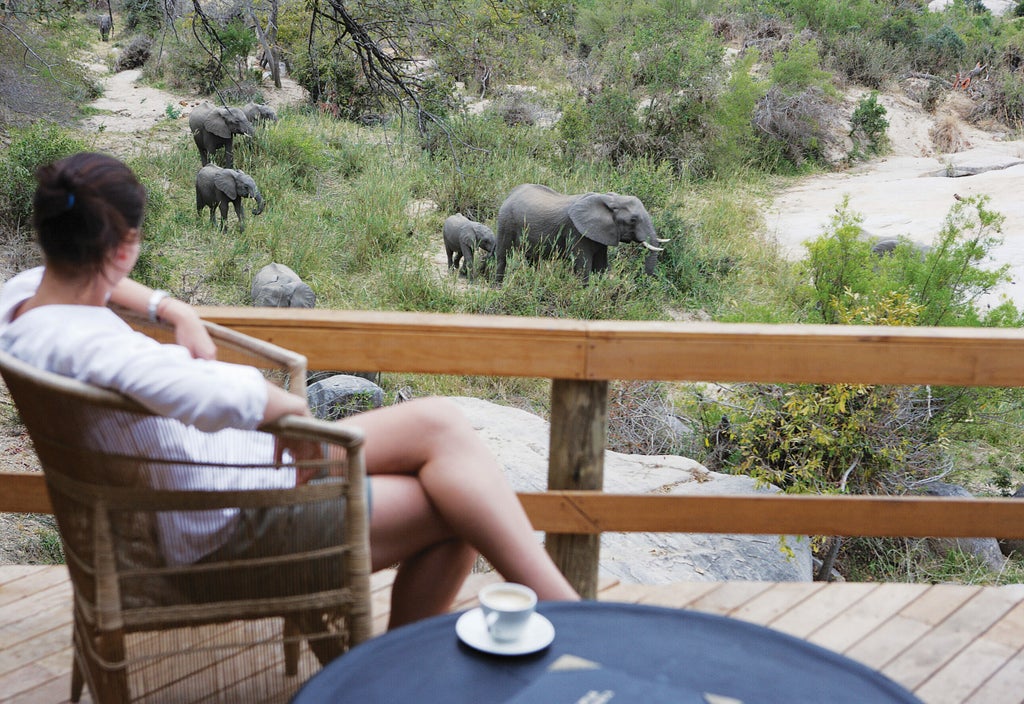 Luxurious riverside safari lodge with thatched-roof suites and wooden deck overlooking Kruger's wilderness and flowing river