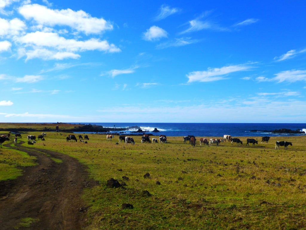 Towering Moai statues stand proudly against dramatic sunset sky on Easter Island, with waves crashing on volcanic coastline