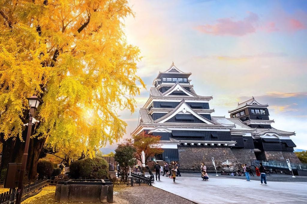 Tourist gazing at the majestic Kumamoto Castle with its striking white walls and traditional Japanese architecture against a clear blue sky